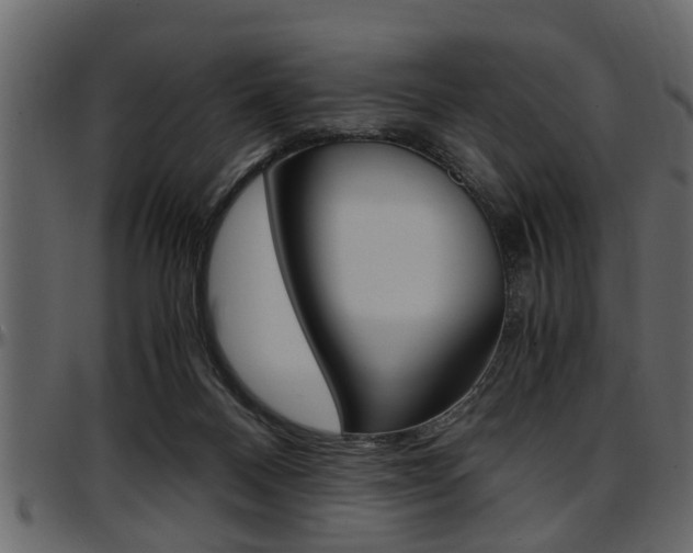 X0000097600120200802290741