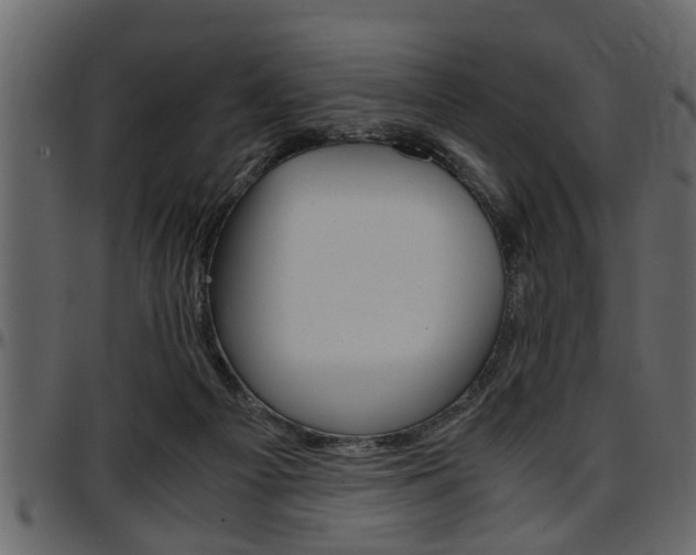 X0000097600121200802290741