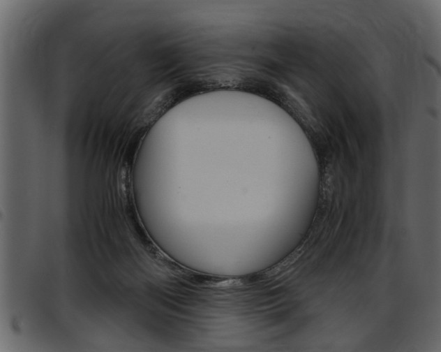 X0000097600122200802290741
