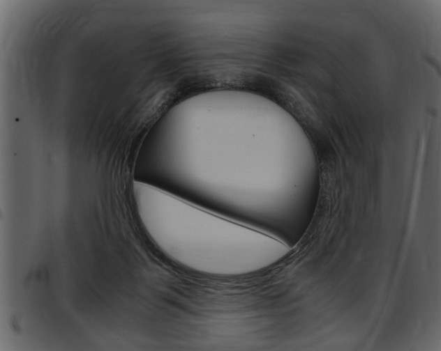 X0000097600123200802290741
