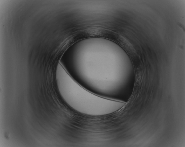 X0000097600124200802290741