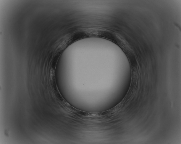 X0000097600125200802290741