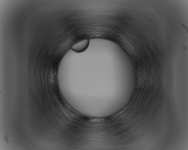 X0000097600126200802290741