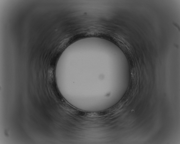 X0000097600127200802290741