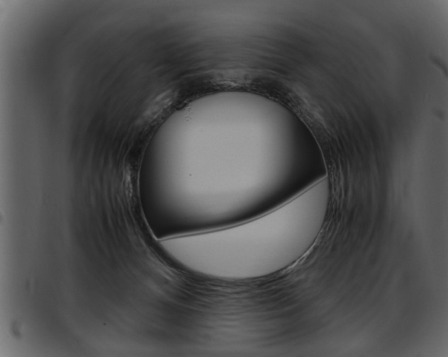 X0000097600128200802290741