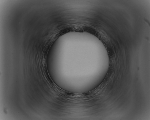 X0000097600129200802290741
