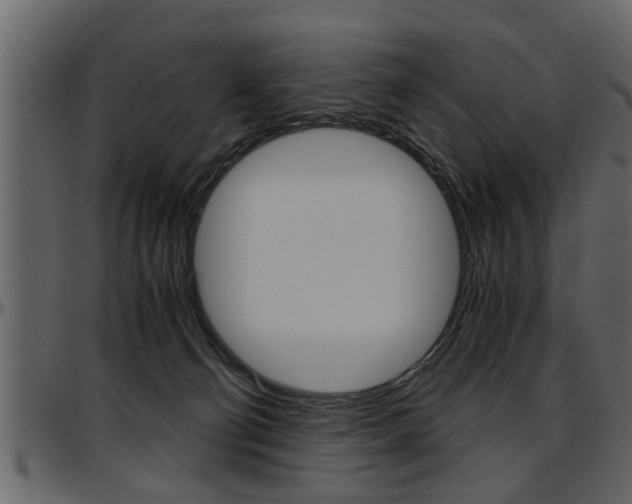 X0000097600130200802290741