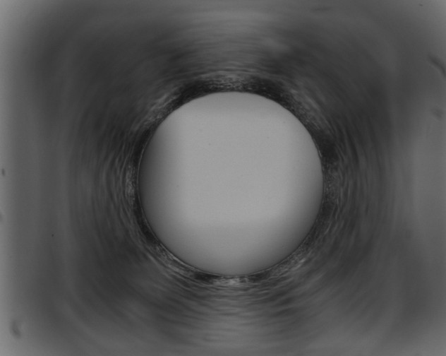 X0000097600131200802290741