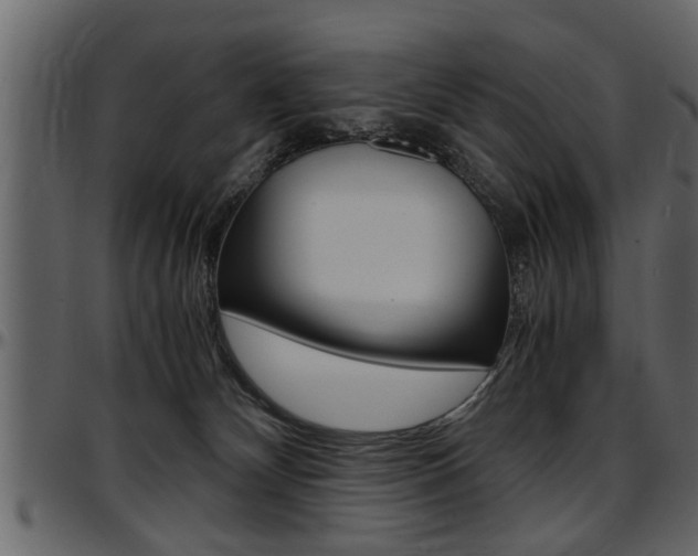 X0000097600132200802290741