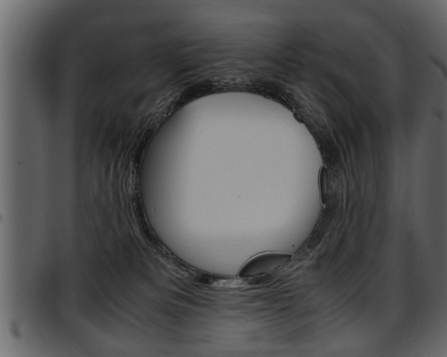 X0000097600133200802290741