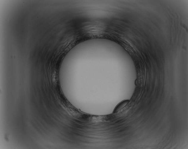 X0000097600134200802290741
