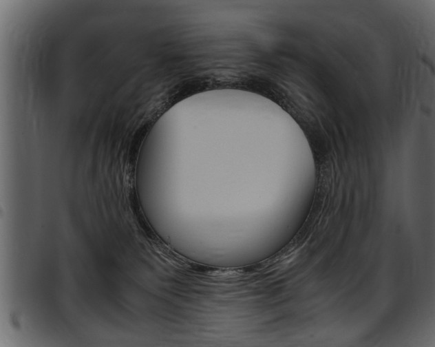X0000097600135200802290741