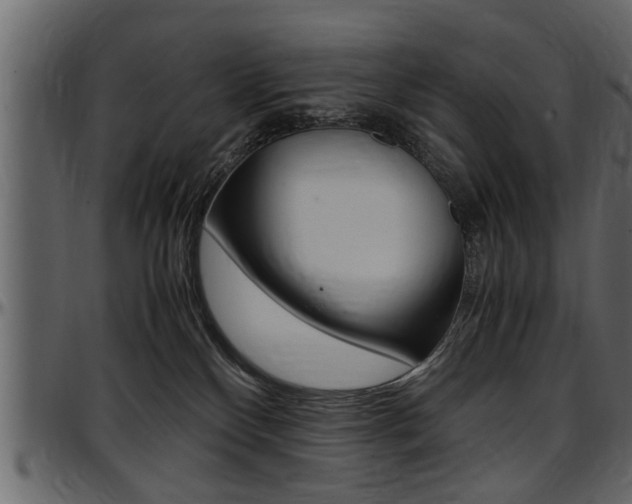 X0000097600136200802290741