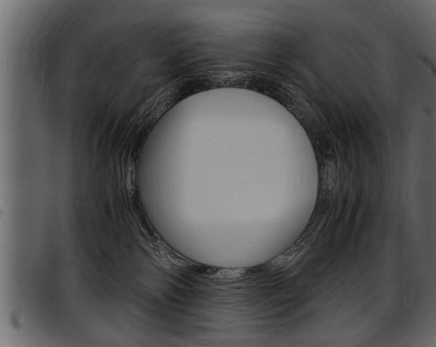 X0000097600138200802290741