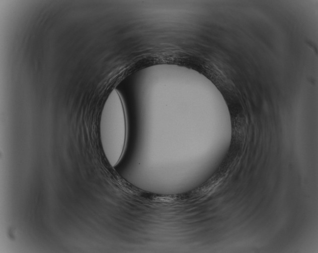 X0000097600139200802290741