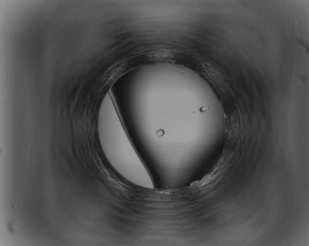 X0000097600140200802290741