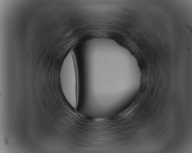 X0000097600141200802290741