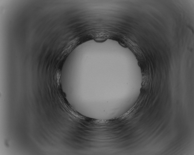 X0000097600142200802290741