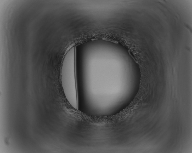 X0000097600144200802290741