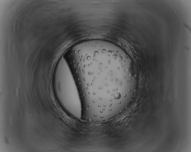 X0000097600145200802290740