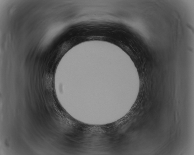 X0000097600146200802290740