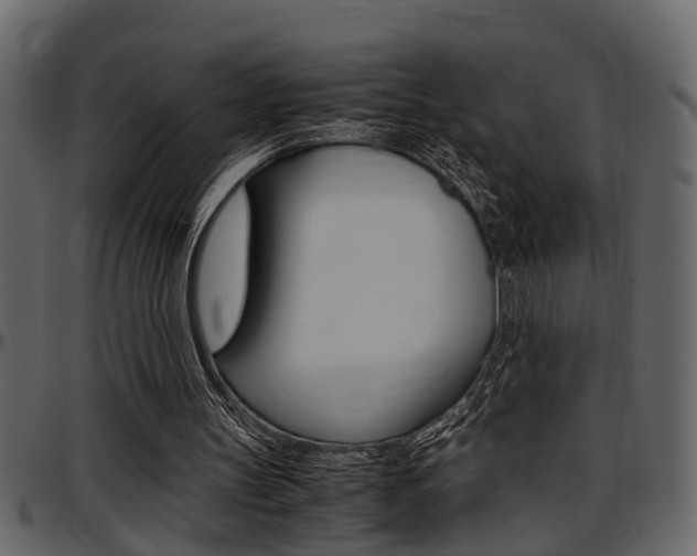X0000097600147200802290740