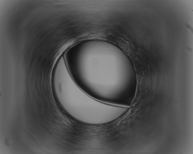 X0000097600148200802290740