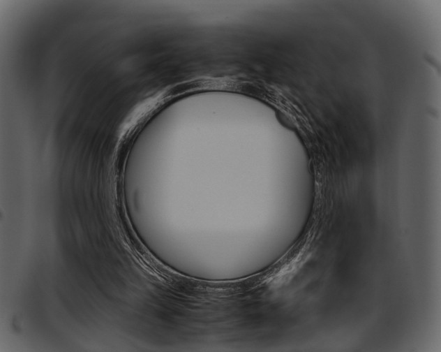X0000097600149200802290740