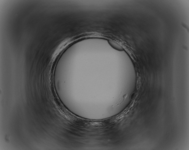 X0000097600151200802290740