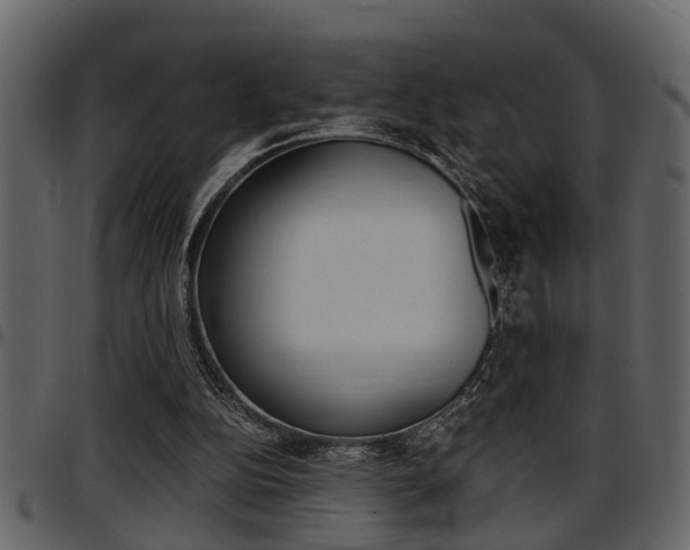 X0000097600152200802290740