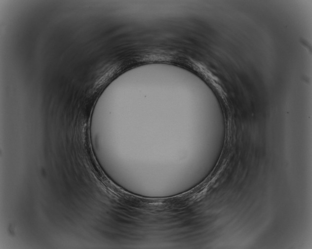X0000097600153200802290740