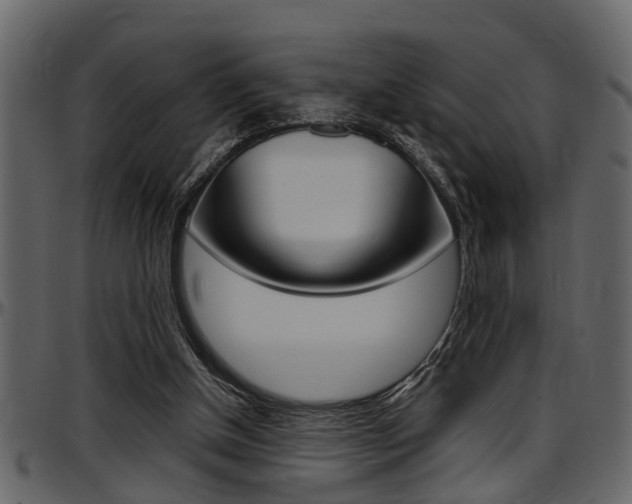X0000097600154200802290740