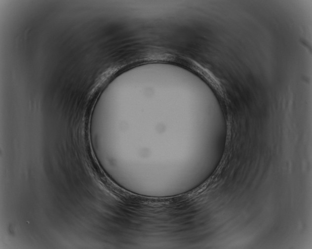 X0000097600155200802290740