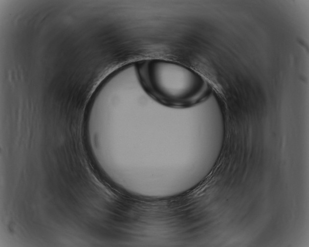 X0000097600156200802290740