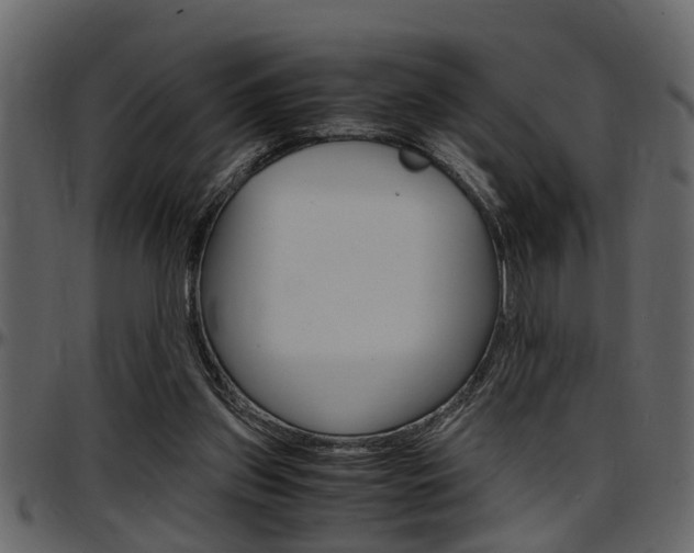 X0000097600157200802290740
