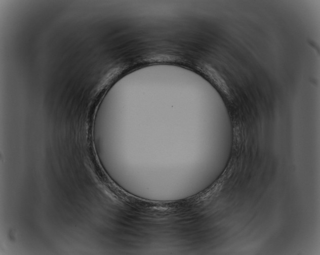 X0000097600159200802290740
