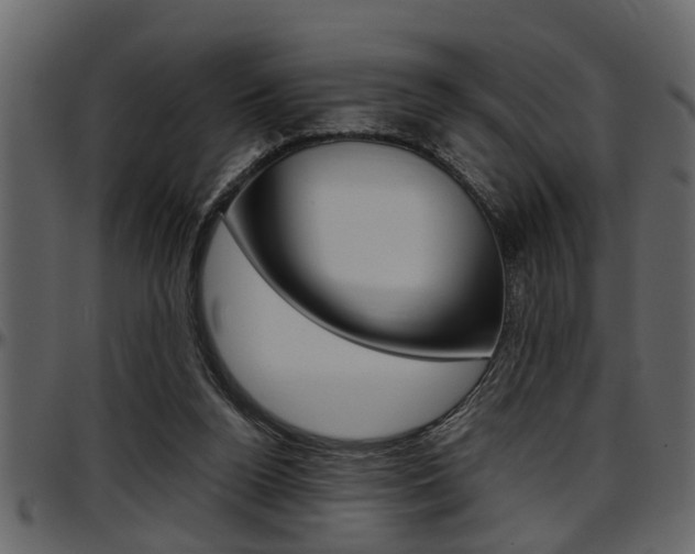 X0000097600160200802290740
