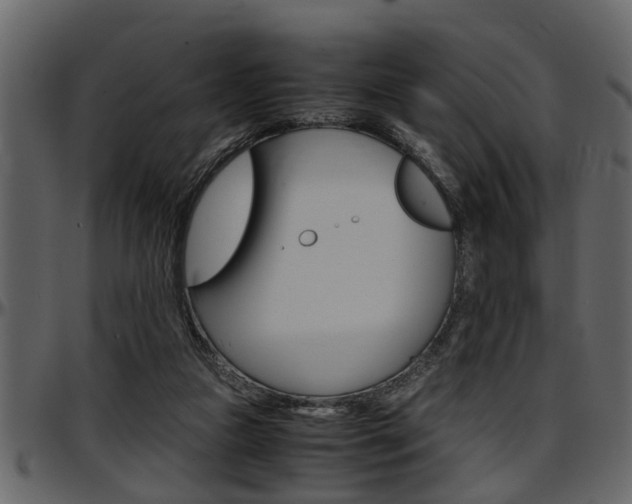 X0000097600161200802290740