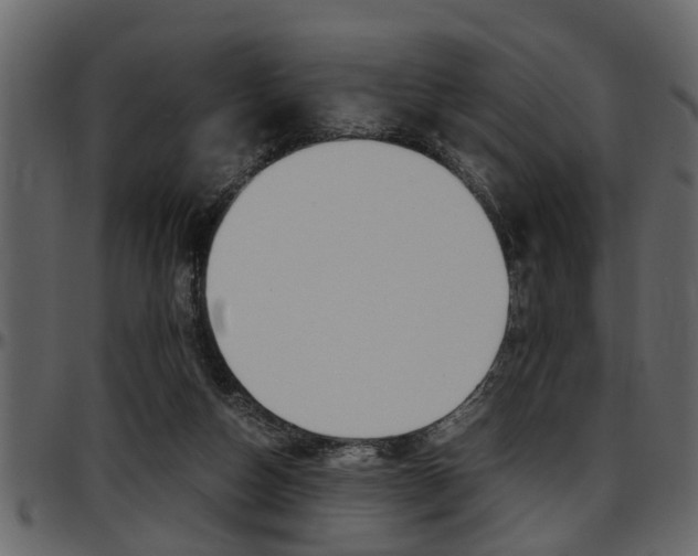 X0000097600162200802290740