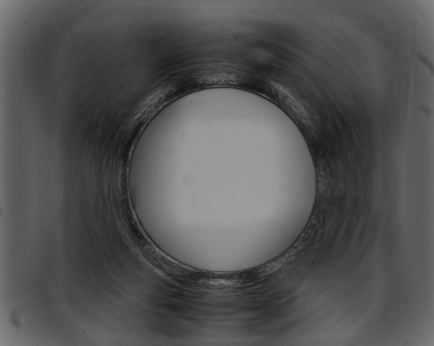 X0000097600163200802290740