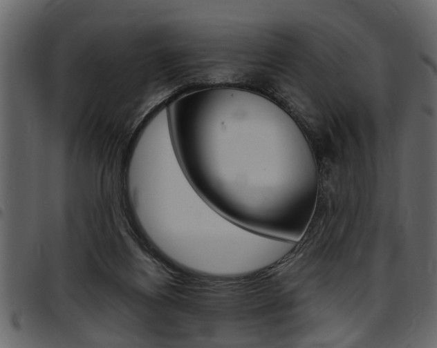 X0000097600164200802290740