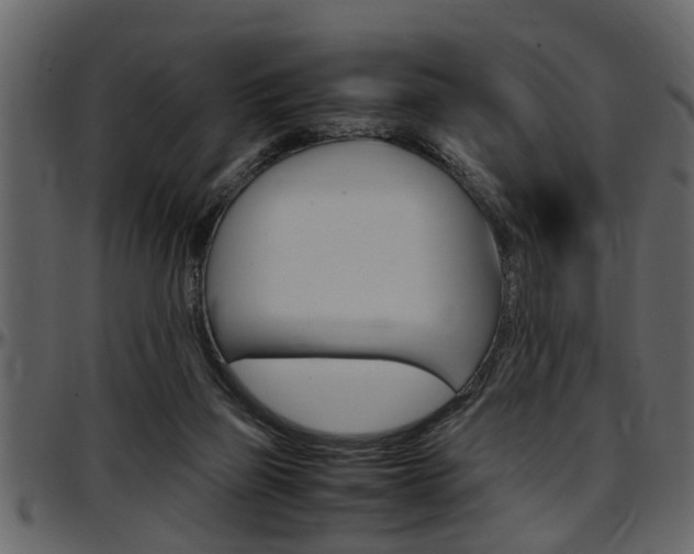 X0000097600165200802290740