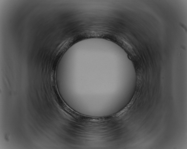 X0000097600166200802290740