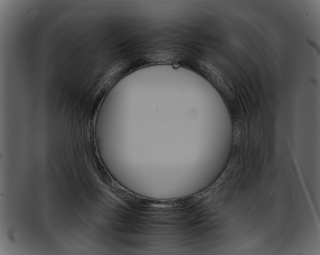 X0000097600167200802290740