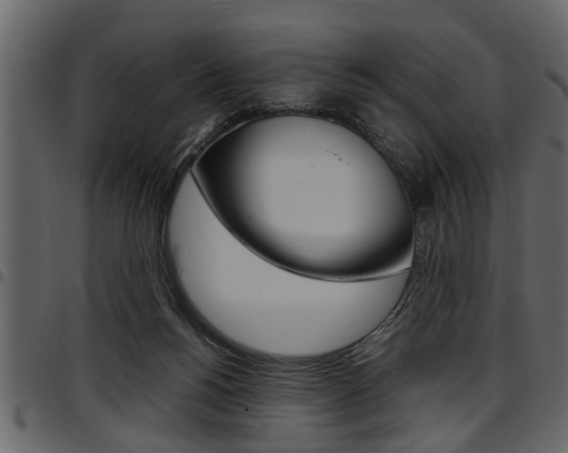 X0000097600168200802290740