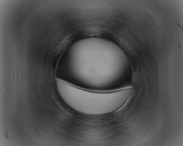 X0000097600170200802290740