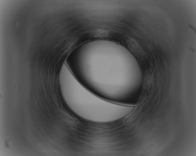 X0000097600172200802290740