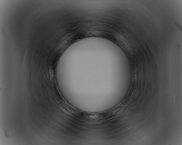X0000097600173200802290740