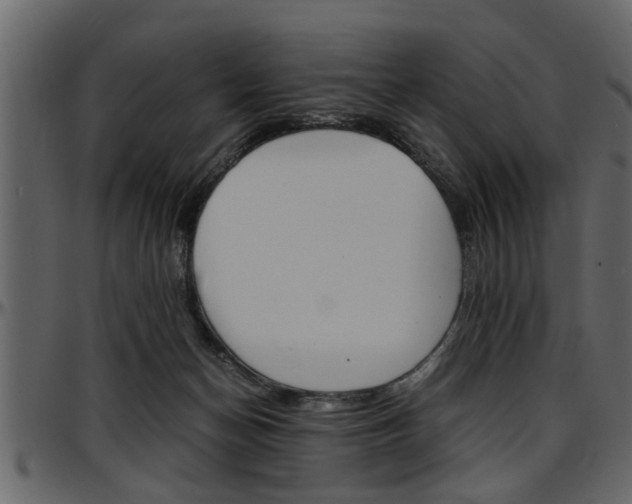 X0000097600174200802290740