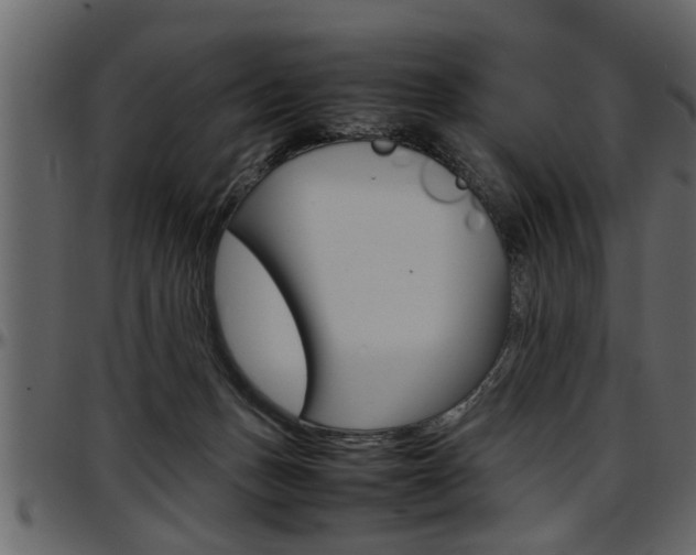 X0000097600175200802290740